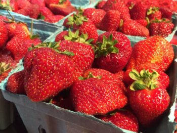 Strawberries- Local