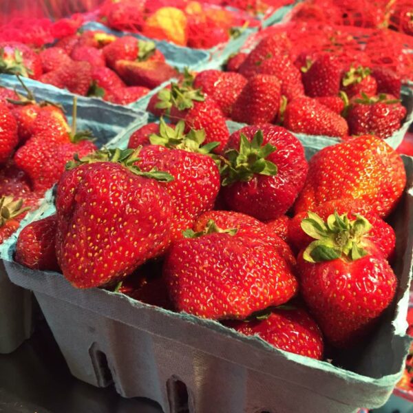 Strawberries- Local