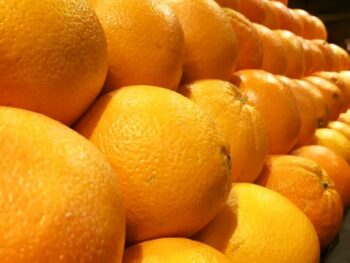 Organic Oranges - 4 lb Bag