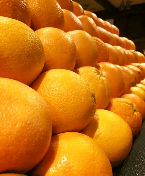 Organic Oranges - 4 lb Bag