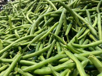 Organic Green Bean Bag