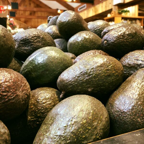 Avocado, Organic - Each