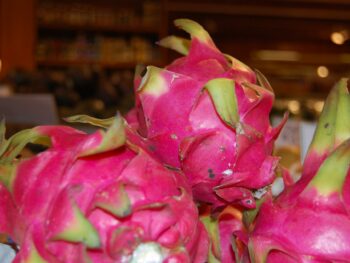 Dragon Fruit