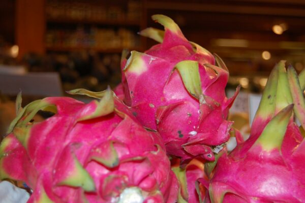 Dragon Fruit