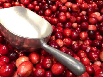 Loose Cranberries
