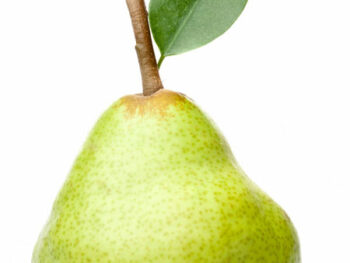 Anjou Pears - Each