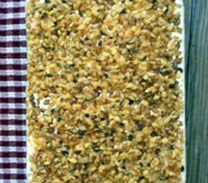 Applesauce Cake with Icing and Nuts