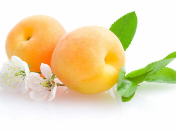 Plums and Apricots