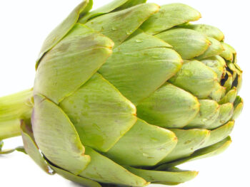 Artichoke