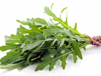 Arugula