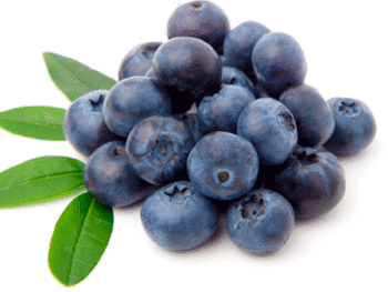 Blueberries - Pint