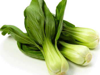 Baby Bok Choy