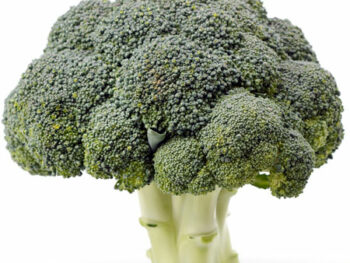 Broccoli