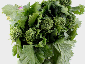 Broccoli Rabe - Bunch