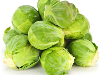 Sprouts