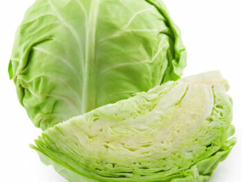 Cabbage