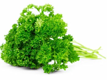 Curly Parsley - Bunch