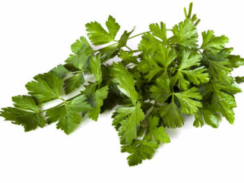 Flat Parsley - Bunch