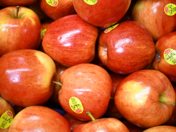 Organic Royal Gala Apple - Each