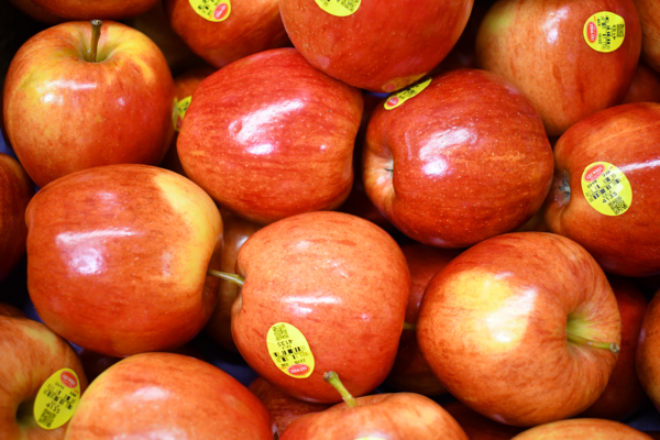 Organic Royal Gala Apple - Each