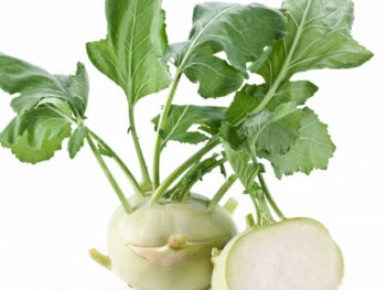 Kohlrabi