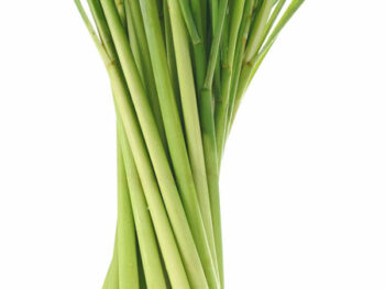 Lemongrass - Each