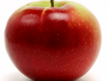McIntosh Apples - Each