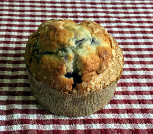 Blueberry Muffin
