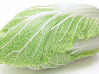 Nappa Cabbage - Each