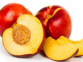 Nectarines