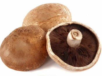 Fresh Portabello Mushrooms - Each