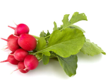 Organic Radishes
