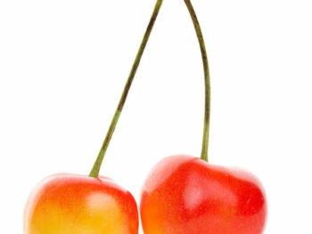 Cherries Rainier