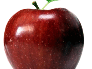 Red Delicious Apples - Each