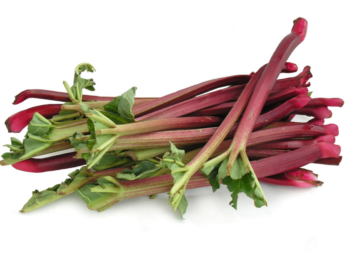 Rhubarb