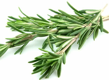Rosemary