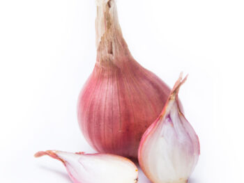 Shallots - Each