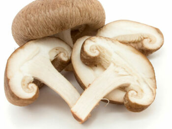 Fresh Shitake Mushrooms