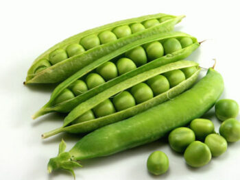 Sugar Snap Peas