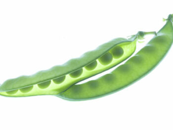 Snow Peas