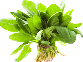 Bunched Spinach
