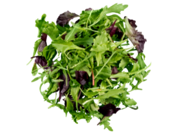 Mixed Baby Greens, Organic