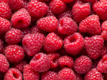 Organic Raspberries