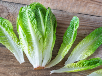 Hearts of Romaine, Organic