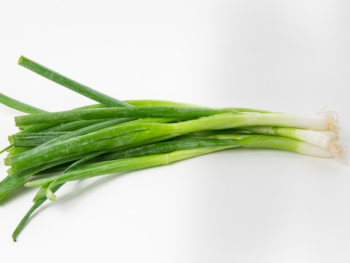 Scallions