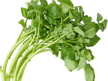 Watercress - Bunch