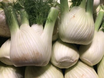 Anise (Fennel)