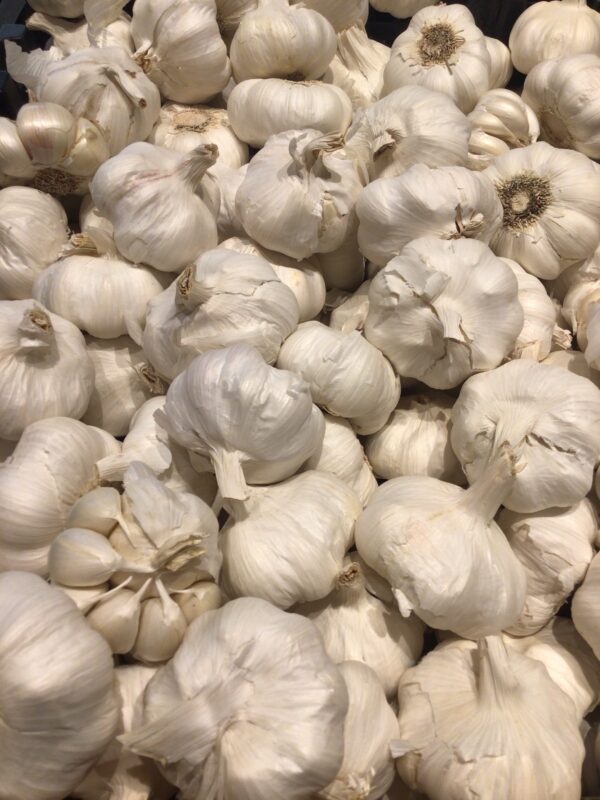 Garlic - Each