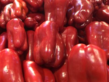 Red Peppers - Each