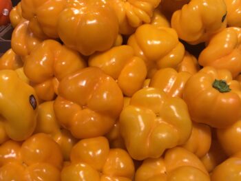 Yellow Peppers